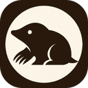 Extension Icon